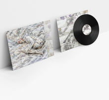 Watson, Patrick – Better In the Shade | 0680341416014 | extra productbeeld