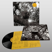 Segall, Ty – Hello, Hi | 0781484083016 | extra productbeeld
