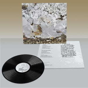 Barnes, Tim – Lost Words | 0781484302919 | extra productbeeld