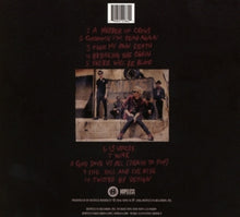 Sum 41 – Thirteen Voices | 0790692228621 | extra productbeeld