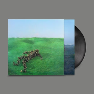 Squid – Bright Green Field | 0801061031411 | extra productbeeld