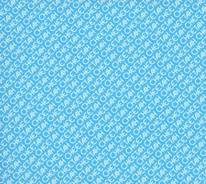 Aphex Twin – Cheetah Ep | 0801061939120 | extra productbeeld
