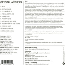 Crystal Antlers – Nothing is Real | 0810874020253 | extra productbeeld