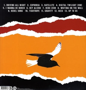 Bouncing Souls – Simplicity | 0816039027983 | extra productbeeld