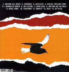 Bouncing Souls – Simplicity | 0816039027983 | extra productbeeld