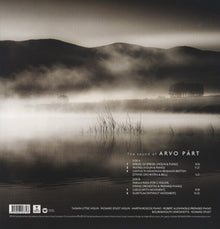 Jarvi, Kristjan – 20th Century Classics: Arvo Pa | 0825646043798 | extra productbeeld