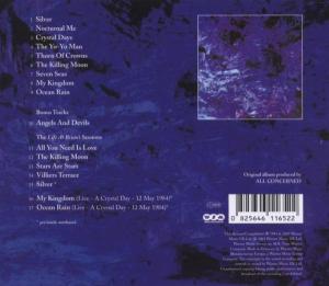 Echo and the Bunnymen – Ocean Rain | 0825646116522 | extra productbeeld