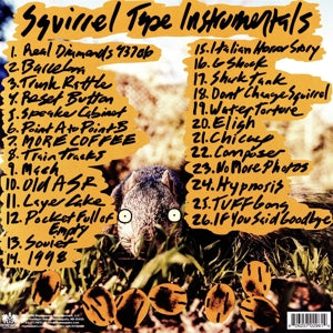 Evidence – Squirrel Tape Instrumentals Vol.1 | 0826257029614 | extra productbeeld
