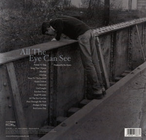 Henry, Joe – All the Eye Can See | 4029759178873 | extra productbeeld