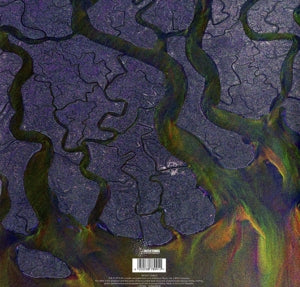 Alt-J – An Awesome Wave | 4050538789911 | extra productbeeld