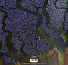 Alt-J – An Awesome Wave | 4050538789911 | extra productbeeld