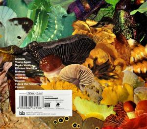 Bjorke, Kasper – Standing On Top of Utopia | 4250382401087 | extra productbeeld