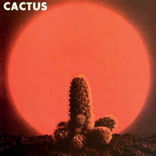 Cactus – Evil is Going On - the Complete Atco Recordings 1970-1972 | 5013929926325 | extra productbeeld