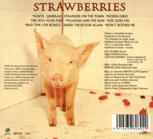 Damned – Strawberries | 5414939808920 | extra productbeeld