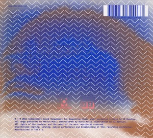 Wave Machines – Pollen | 8717931324137 | extra productbeeld