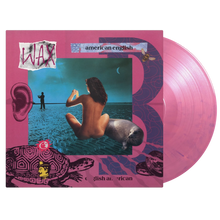 Wax – American English | 8719262030411 | extra productbeeld