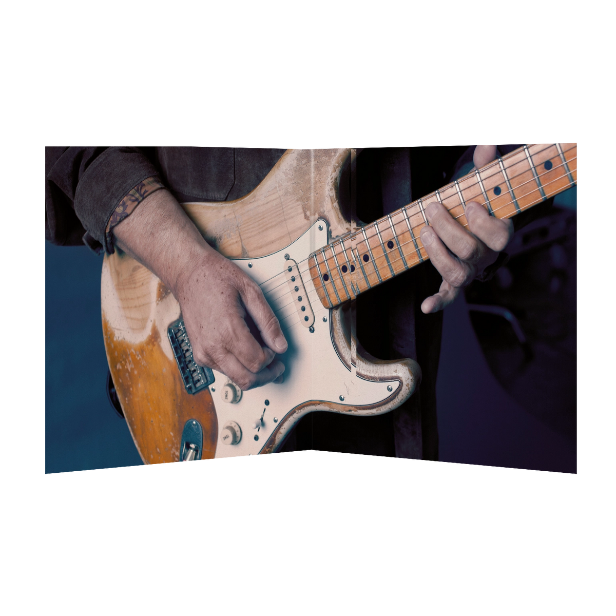Trout, Walter – Blues For the Modern Daze | 8719262041110 | extra productbeeld
