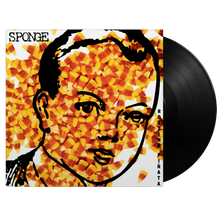 Sponge – Rotting Pinata | 8719262043664 | extra productbeeld