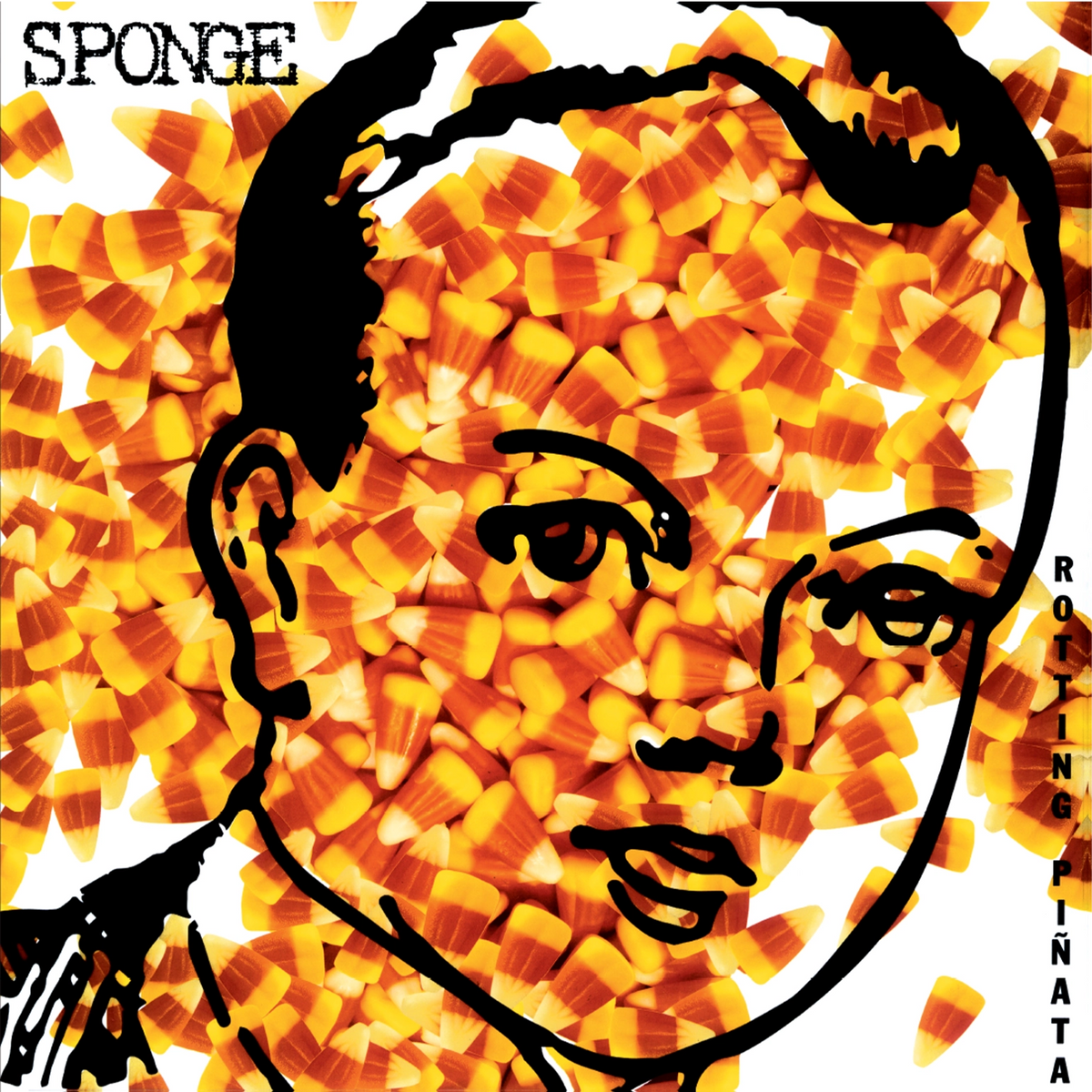 Sponge – Rotting Pinata | 8719262043664 | extra productbeeld