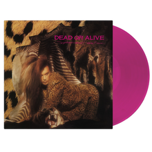 Dead or Alive – Sophisticated Boom Boom | 8719262044357 | extra productbeeld