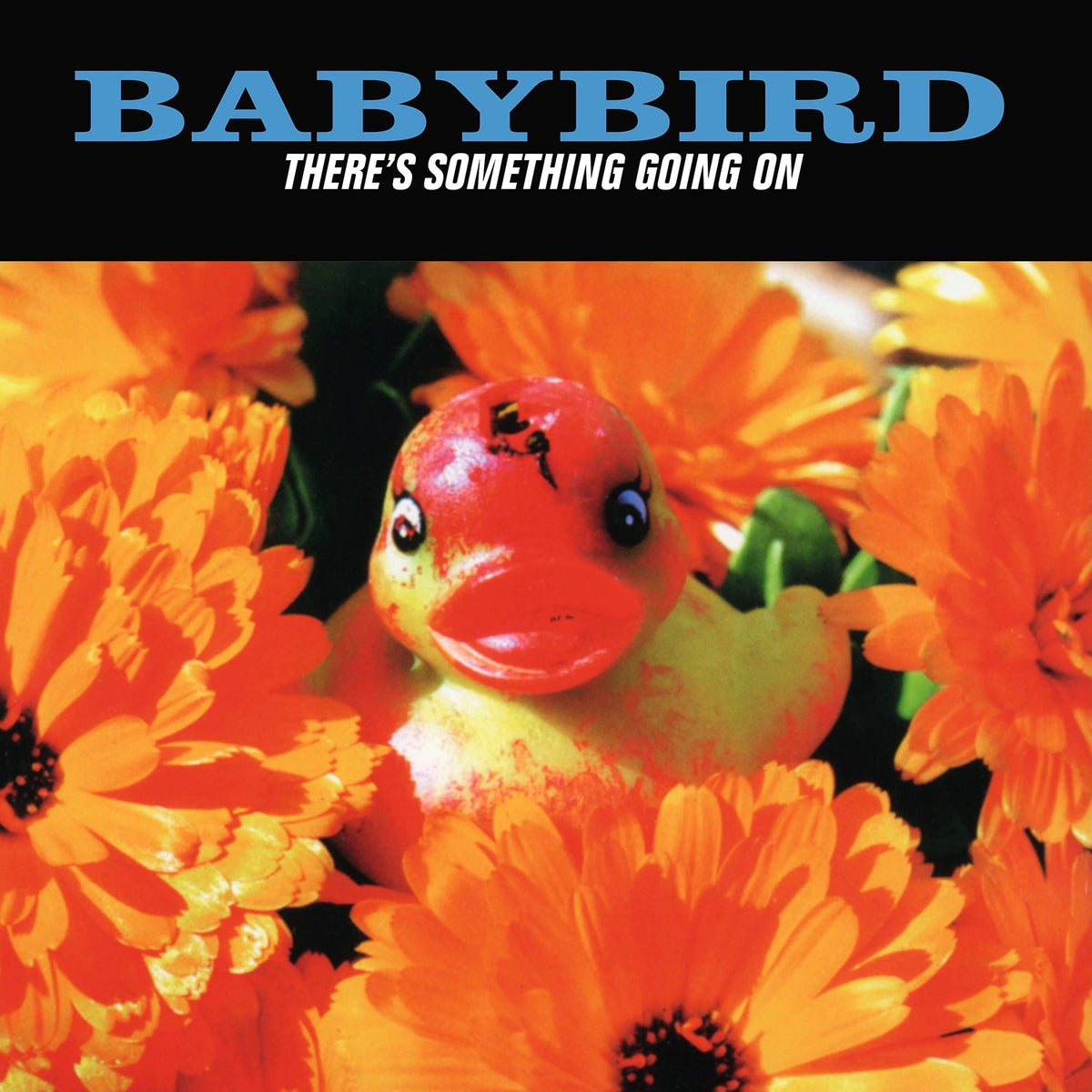 Babybird – There's Something Going On | 8719262044876 | extra productbeeld