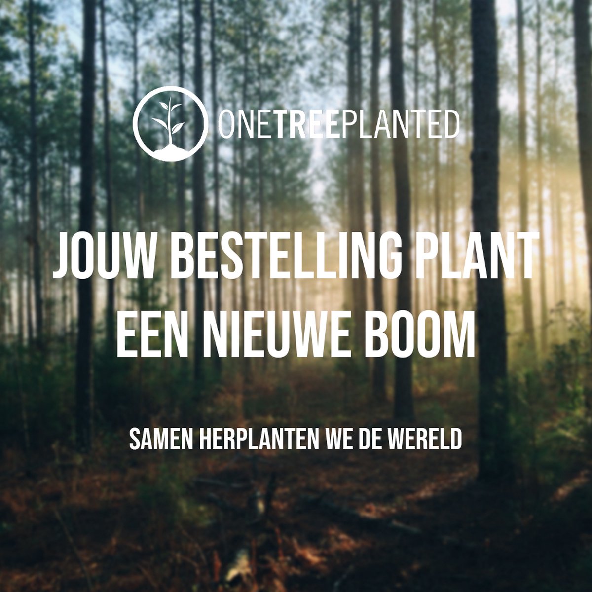 Bos met de tekst 'JOUW BESTELLING PLANT EEN NIEUWE BOOM' en 'SAMEN HERPLANTEN WE DE WERELD'.