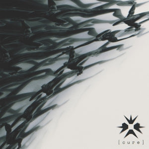 Erra – Cure vinyl