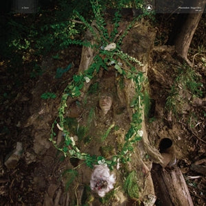 Pharmakon – Maggot Mass (1CD)