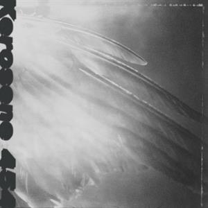 Kerosene 454 – Came By To Kill Me (1LP Vinyl)