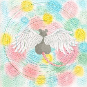 Semones, Mei – Animaru cd