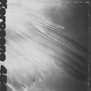 Kerosene 454 – Came By To Kill Me vinyl