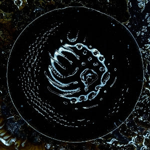 Stonus – Stonus (1LP Vinyl)