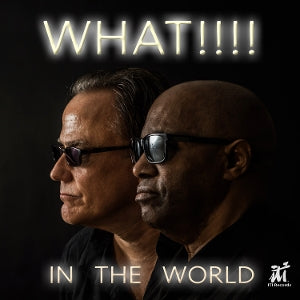 Was!!!! – In the World (1CD)