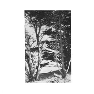 Deitrick, Rick – Gentle Wilderness vinyl