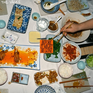 Vices – Before It Might Be Gone (1LP Vinyl)