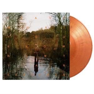 Kesteren, Remy Van – Leave What You Know (1LP, Coloured Vinyl)