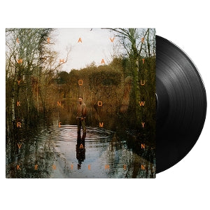 Kesteren, Remy Van – Leave What You Know vinyl