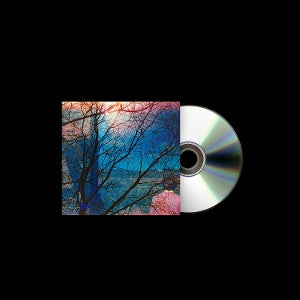 Idlewild – Idlewild cd