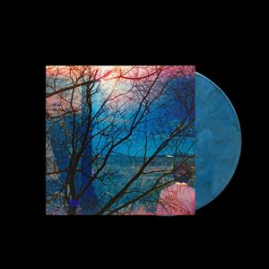 Idlewild – Idlewild vinyl