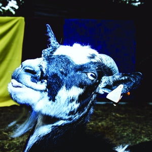 Barely Autumn – Day Trip To the Petting Zoo cd
