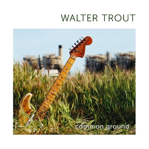 Trout, Walter – Common Ground vinyl