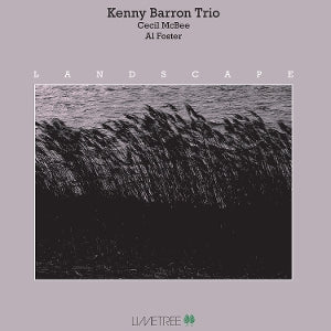 Kenny Barron Trio – Landscape (1 LP vinyle)