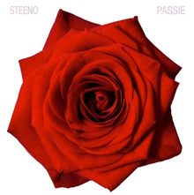 Steeno, Luc – Passie cd