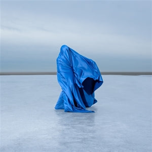 Fuis – Here's To Asking For Help vinyl
