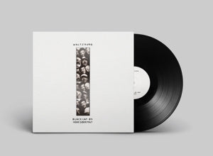 Waltzburg – Black Cat On Your Doormat (1LP Vinyl)