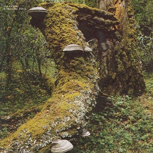 Jelinek, Jan – Kosmischer Pitch vinyl