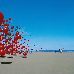 The Cranberries – Wake Up and Smell the Coffee (1LP Vinyl)