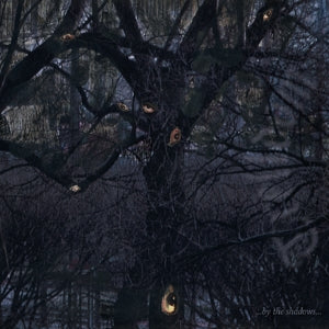 Trelldom – ...By the Shadows... (1 CD)