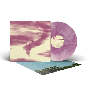 Bees Made Honey In the Vein Tree – In Between Strides vinyl