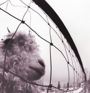Pearl Jam – Vs. Vinyl Edition (Remastered) vinyl